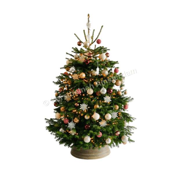 hooi herder bijzonder Versierde Kerstboom - Taj Mahal - Kerstbomen Amsterdam