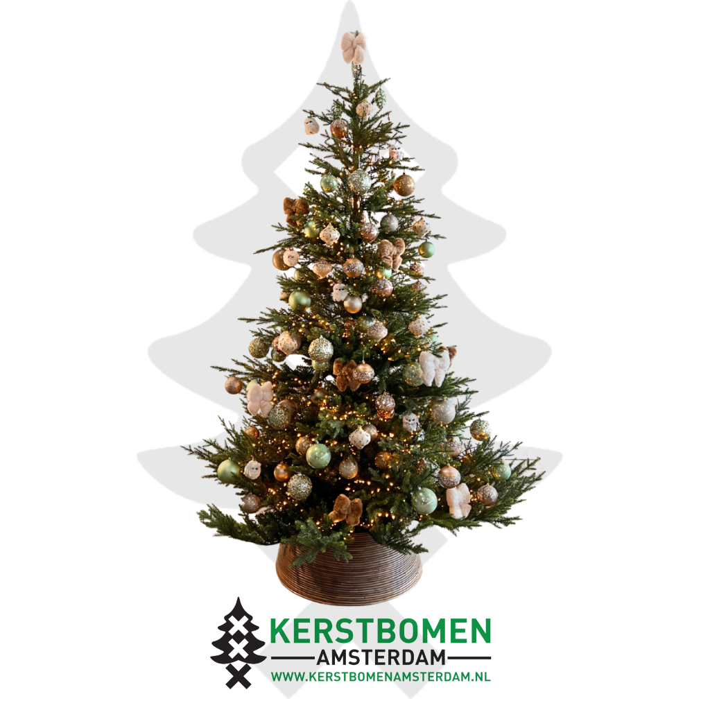 Amalfi versierpakket