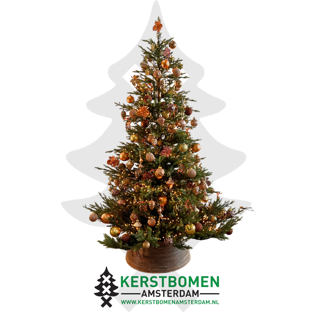 Grand Canyon versierpakket