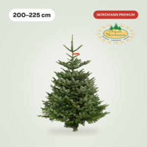 Nordmann 200 - 225 cm PREMIUM