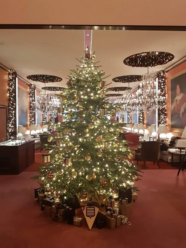 Opgetuigde Nordmann in een hotellobby