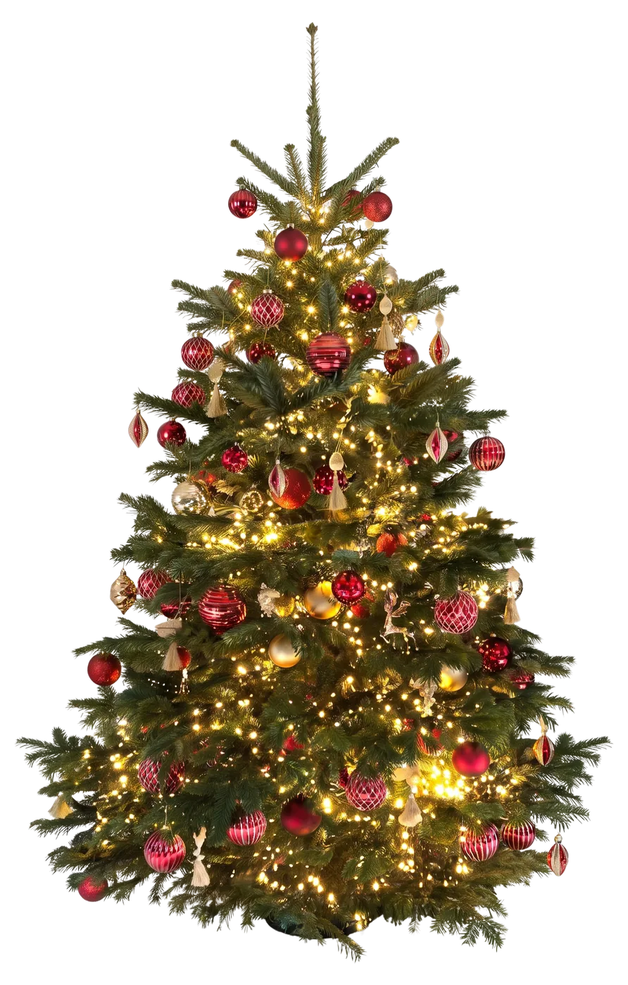 Opgetuigde Nordmann met lichtjes en rode en gouden ballen, van piek tot voet
